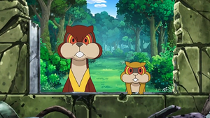 NB119 - Miradar et Ratentif.png