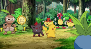 Pifeuil sauvage Film 13.png