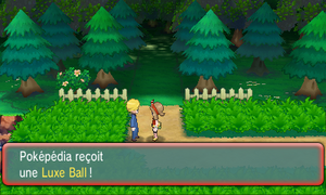 Route 104 Luxe Ball ROSA.png