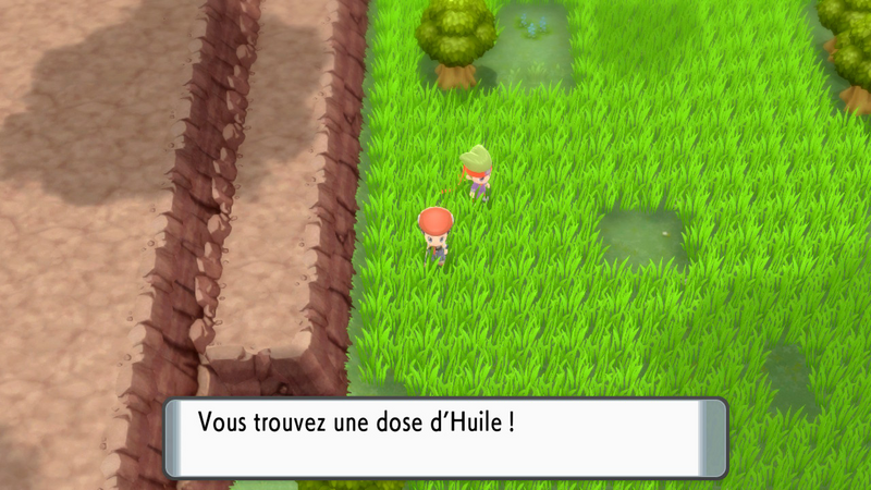 Fichier:Route 210 Huile DEPS.png