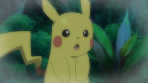SL037 - Pikachu de Sacha (Flash-back).png