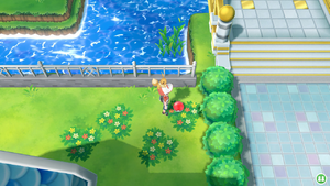 Azuria Super Bonbon LGPE.png