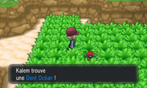 Baie Azur Dent Océan XY.png