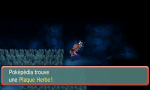 Chenal 130 Plaque Herbe ROSA.png