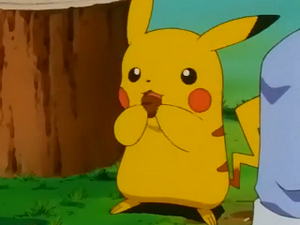 EP233 - Pikachu de Sacha.png