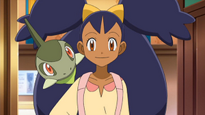 NB014 - Coupenotte d'Iris.png