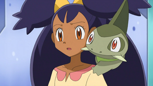 NB093 - Coupenotte d'Iris.png