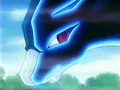 Suicune (sauvage)