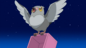 NB012 - Poichigeon de Sacha.png