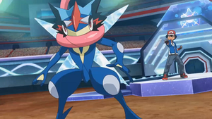 XY128 - Sachanobi.png