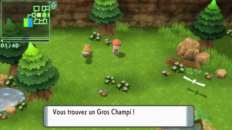 Fichier:Caverne du Miroir d'Eau Gros Champi DEPS.png