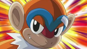 Chimpenfeu de Sacha.jpg