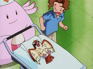 EP014 - Roucool d'un Dresseur.png