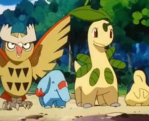 EP259 - Noarfang, Phanpy et Macronium de Sacha.png