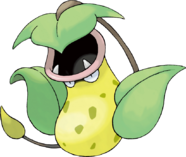 Empiflor