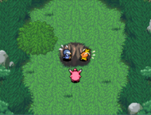 Forêt Trompeuse (7) PDMTO.png