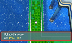 Route 110 Poké Ball ROSA.png