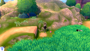 Route 3 3 Soin Balls EB.png