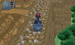 Kalem à dos de Rhinocorne dans Pokémon X et Y.