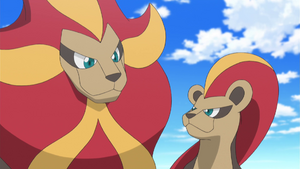 XY097 - Némélios mâle et femelle.png