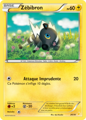 Carte XY Kit du Dresseur Pikachu Catcheur 26.png