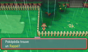 Route 123 Rappel ROSA.png