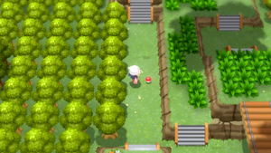 Route 225 Rappel DEPS.png