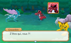 Crocorible mis en cause par Raikou et Suicune de la pétrification d'Entei.