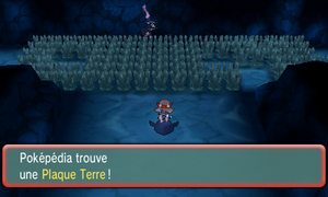 Chenal 130 Plaque Terre ROSA.png