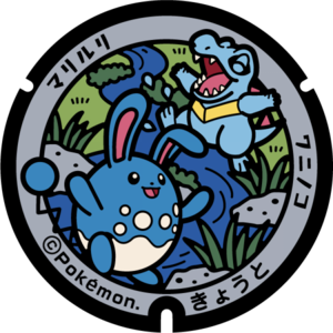 Poké Lid 163 Kyoto.png