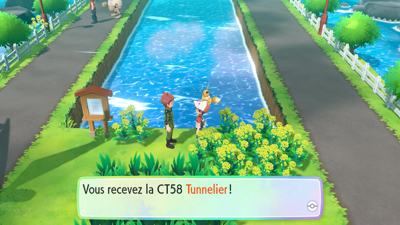 Fichier:Route 17 CT58 LGPE.png
