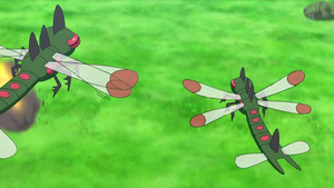 XY070 - Yanmega (Flash-back).png