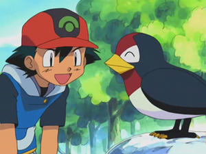 AG010 - Nirondelle de Sacha (Flash-back).png