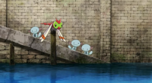 Axoloto sauvages Film 13.png