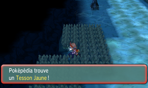 Chenal 126 Tesson Jaune ROSA.png