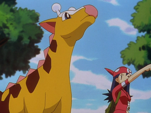 Girafarig de Lisa.png