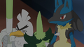 Palarticho (de Sacha) et Lucario (de Sacha)