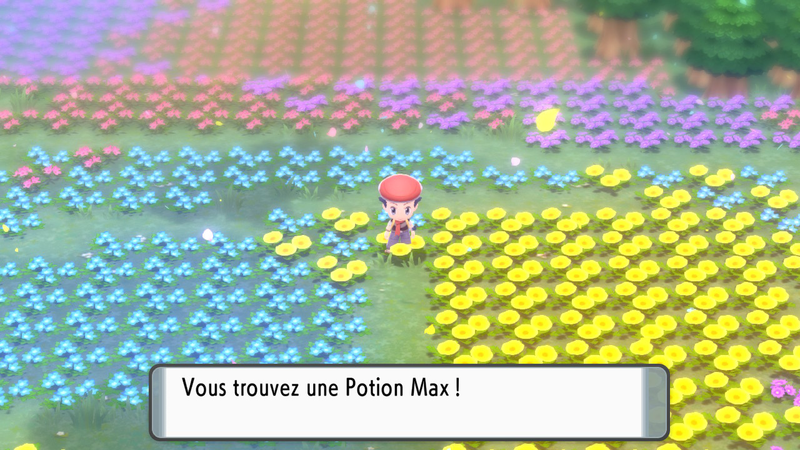 Fichier:Pré de Floraville Potion Max DEPS.png
