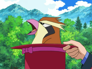 Roucool de Francesca.png