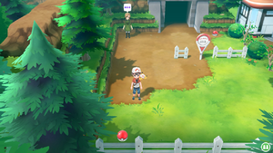 5 Poké Balls (Route 10).png