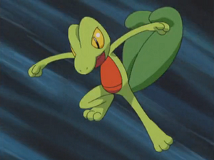 AG048 - Arcko de Sacha.png