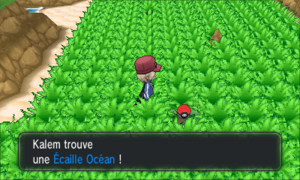 Baie Azur Écaille Océan XY.png