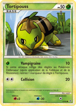 Tortipouss (HS Déchaînement 67)