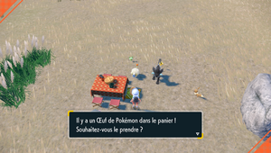 Découverte d'un Oeuf EV.png