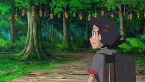 LV006 - Coconfort.png