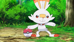 LV006 - Flambino de Gō.png