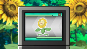 NB111 - Héliatronc Pokédex.png