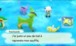 Insolourdo commence à ressentir de la fatigue.