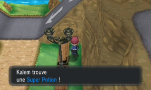 Relifac-le-Haut Super Potion XY.png