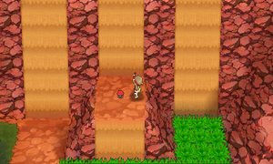 Sentier Sinuroc Total Soin ROSA.png